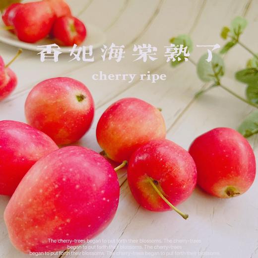 海棠果3斤  产地直发 商品图0