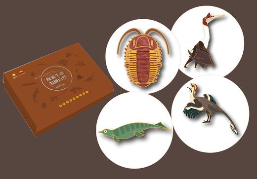 古生物冰箱贴套盒精华版二（12个） 商品图1