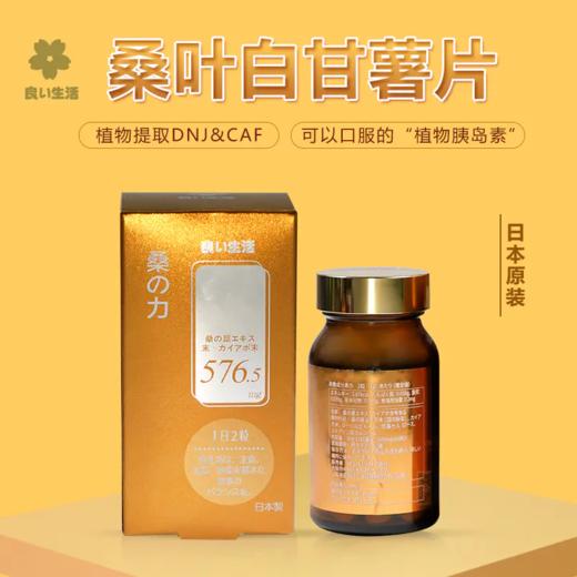 桑叶白甘薯压片糖果三瓶  五瓶 商品图2