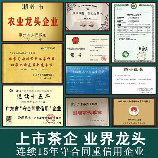 天池老枞东方红 老枞宋种双拼礼盒 凤凰单枞茶 50g * 2罐 商品图3