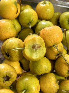 周二配送！稀有品种，阿尔泰富硒黄山楂，来自新疆伊犁地区，不止好看，而且口感粉糯，甜度极高，区别于红山楂，比红的甜，超级好吃，健脾开胃的最佳选择！一盒约400克
