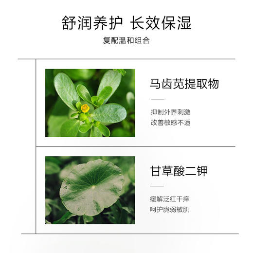 一叶子氨基酸保湿舒缓洁面泡沫30ml 商品图2