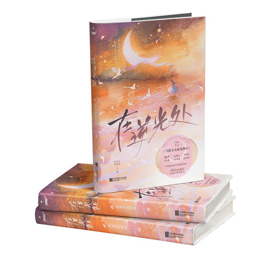 在逆光处 商品图2