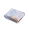 罗莱家纺 彩绘迷宫法兰绒毯 XFX-CHMG180K 商品缩略图4