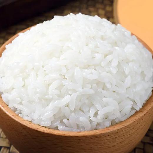 【冰雪良田】海伦香米（绿色）5kg 商品图3