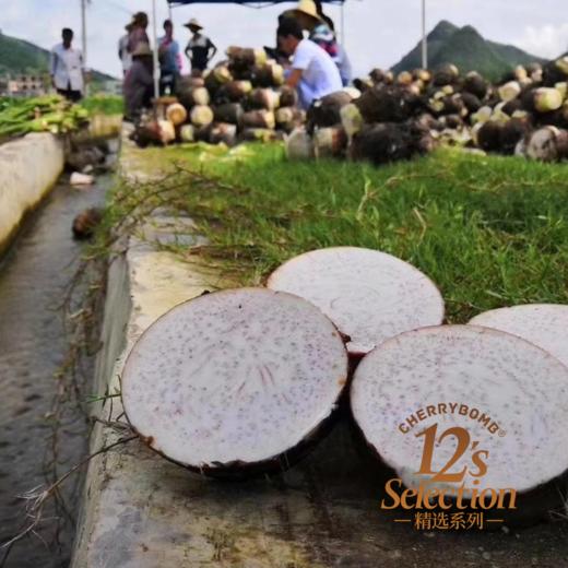 正宗荔浦香芋头/芋头片  地理标志认证 需及时签收冷冻 顺丰快递 商品图13