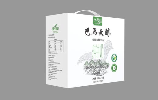 【巴马天醇】纯牛奶 健康奶源 营养担当 200ml*10盒 商品图5