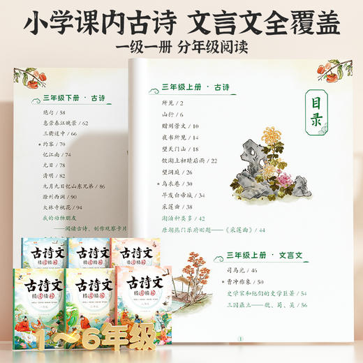 【斗半匠】古诗文精读1-6年级 商品图1