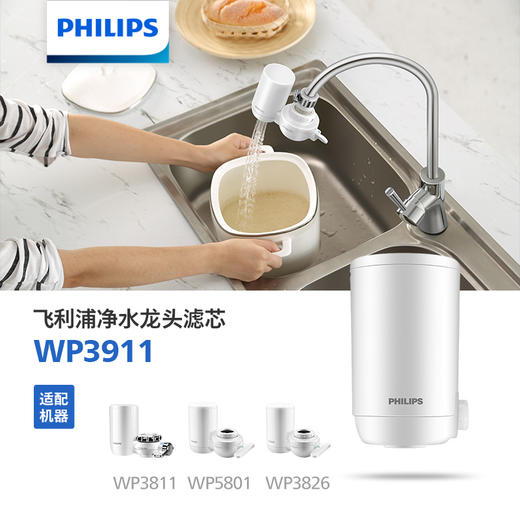 飞利浦（PHILIPS）水壶滤芯WP3911 适用：WP3811 AWP3876 商品图0