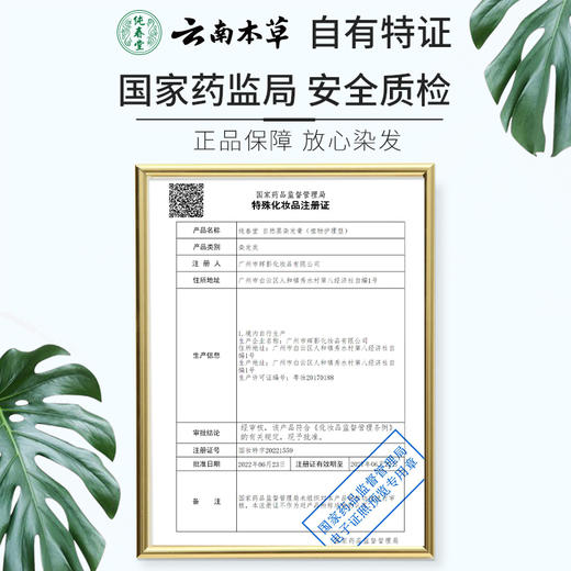 【洗发=染发】纯春堂云南本草汉斯黑色染发膏染发剂一洗黑升级洗发水彩色染发膏 商品图1