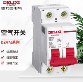 【JL】德力西 微型断路器 空气开关家用空开 C型 2P 40A DZ47S