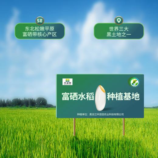 【冰雪良田】海伦大米六面砖红袋5kg 商品图1