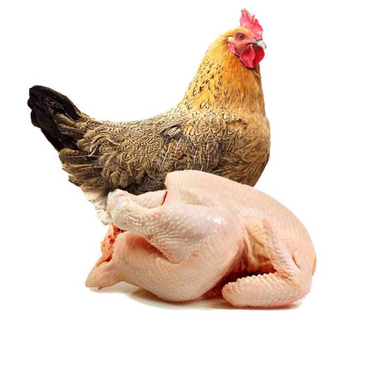 广东清远生态走地鸡 1.1kg左右*2只装（仅发广东）