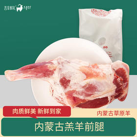 【羔羊前腿1.3kg】内蒙古苏尼特羊前腿  带骨羊前腿 1.3kg左右一条