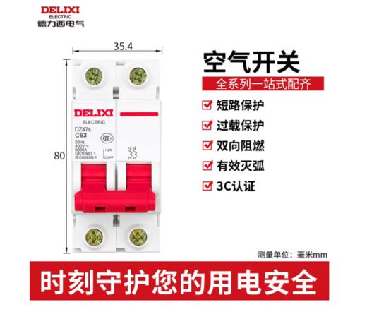 【JL】德力西 德力西微断路器空气开关2P63A 2P63A 商品图0