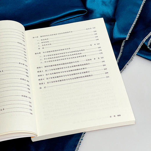 教师学习与专业发展 历史回溯与未来展望 大夏书系 教师学习 论文集 商品图6