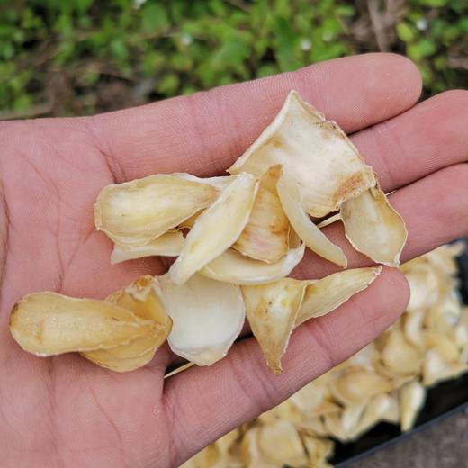 [最农公社]年货节|湖南龙山百合干250g/袋龙山百合为国家地理标志产品 商品图1