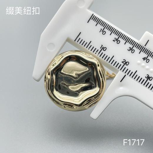 F1717 商品图4