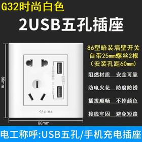 【DZ】公牛BULL G32系列86型暗装墙壁开关五孔10A插座带USB (白色)