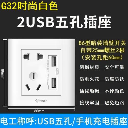 【DZ】公牛BULL G32系列86型暗装墙壁开关五孔10A插座带USB (白色) 商品图0