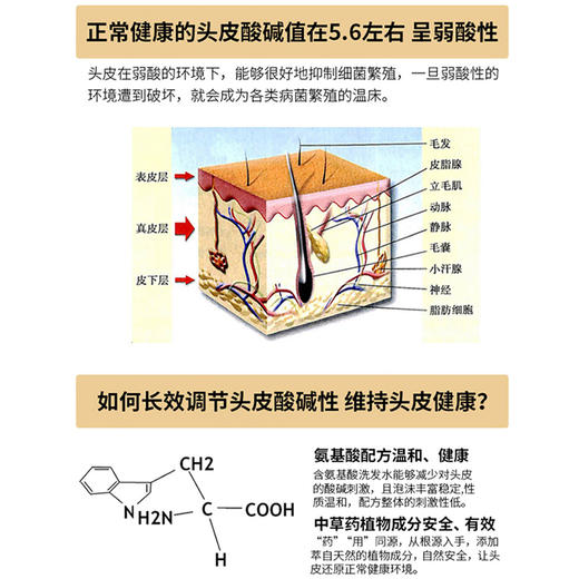 霸王 姜素强韧修护氨基酸洗发液720ml 10101011386 商品图4