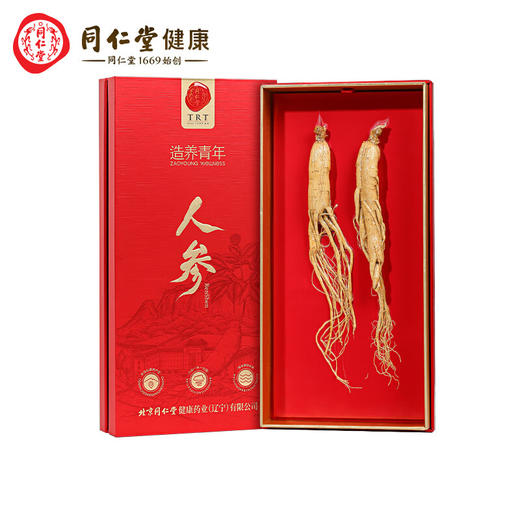 【正宗同仁堂品牌】北京同仁堂 整棵干制人参50g礼盒装（2支装）辽宁人参 整枝人参礼盒 煲汤滋补品SY 商品图5
