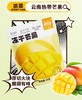 滇园冻干芒果25g/袋 商品缩略图0