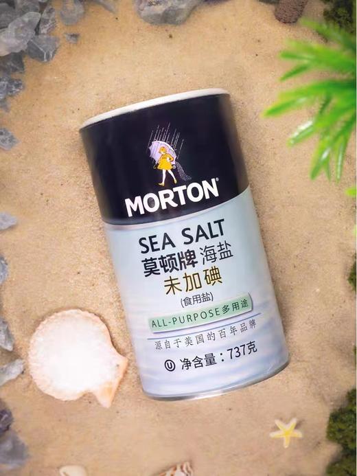 莫顿海盐737g*12罐 商品图0