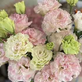 国产花材-【冰淇淋洋桔梗】