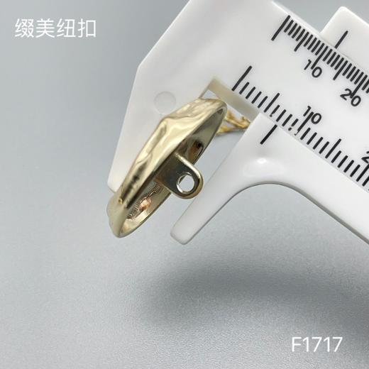 F1717 商品图5