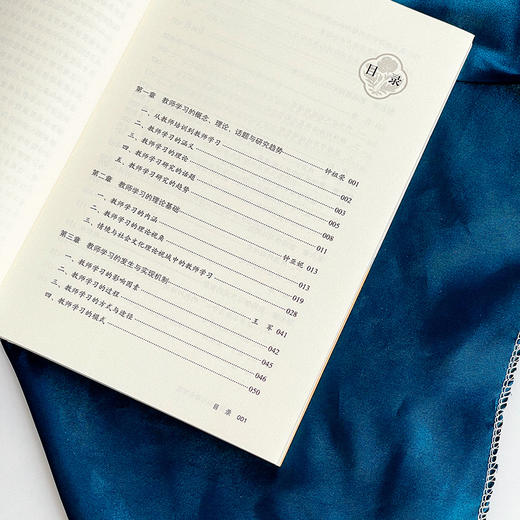 教师学习与专业发展 历史回溯与未来展望 大夏书系 教师学习 论文集 商品图5