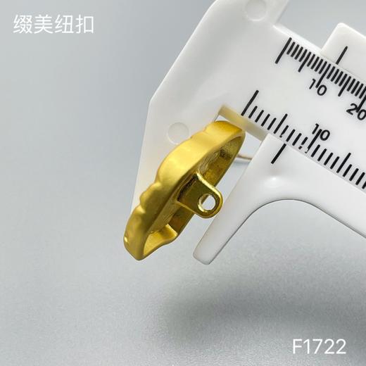 F1722 商品图6