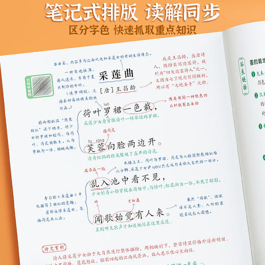 【斗半匠】古诗文精读1-6年级 商品图2