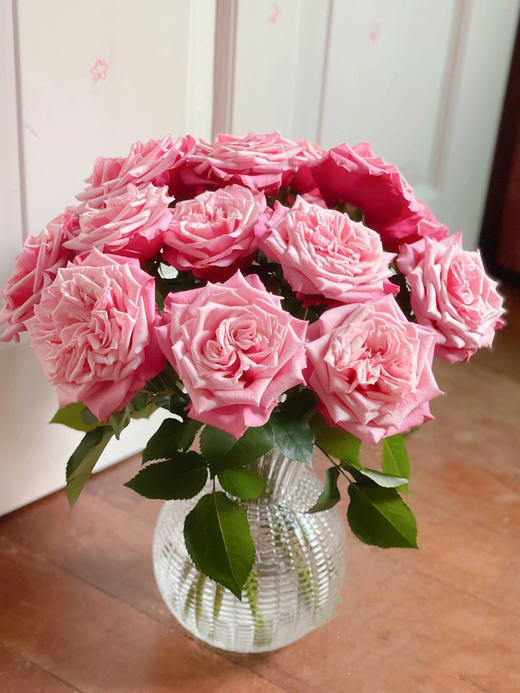 闺蜜玫瑰【我们散落各地，我们灵魂相依】简小姐精选奥斯汀花型 复色新品玫瑰 闺蜜 2件顺丰包邮 基地直发 商品图7