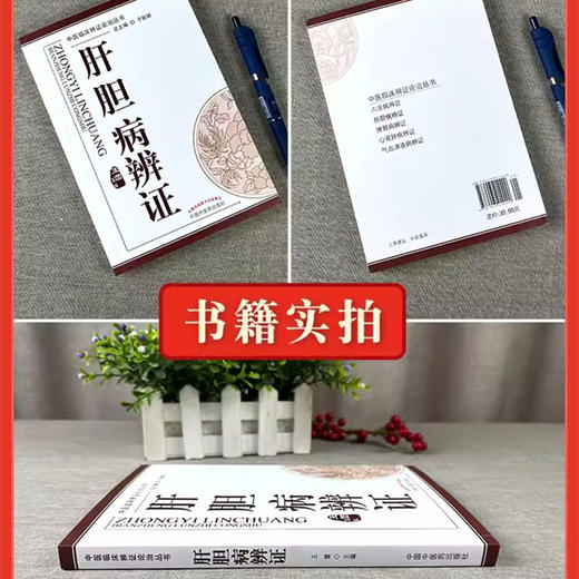 肝胆病辨证【王蕾】 商品图4