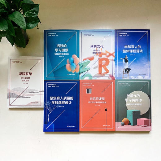品质课程聚焦丛书 7册套装  语文数学英语学科课程建设 教师教学 中小学案例 王雪梅 杨四耕主编 正版 华东师范大学出版社 商品图9