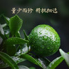 【送试泡2颗】华祥苑-星时光新会小青柑勐海普洱熟茶250g 商品缩略图6