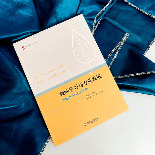 教师学习与专业发展 历史回溯与未来展望 大夏书系 教师学习 论文集 商品图2