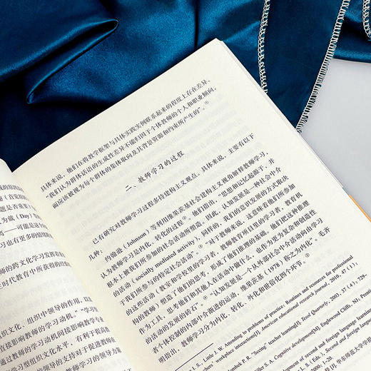 教师学习与专业发展 历史回溯与未来展望 大夏书系 教师学习 论文集 商品图8