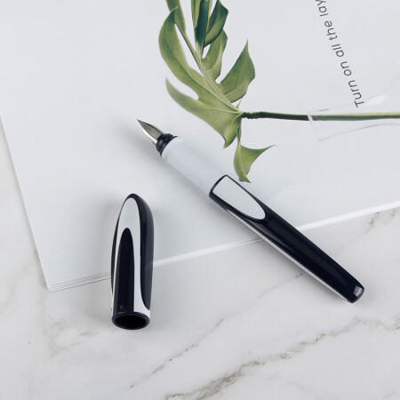 德国进口 Schneider施耐德 Ray锐 两用钢笔套装 商品图2