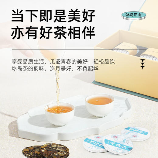 茶马世家冰岛正山小玉饼云南古树生熟普洱地界白 商品图1