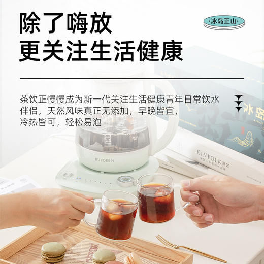 茶马世家冰岛正山小玉饼云南古树生熟普洱地界白 商品图2