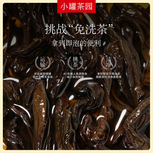 小罐茶园 大红袍茶 金标单罐装  65g  5A中国茶  【现货】 商品图4