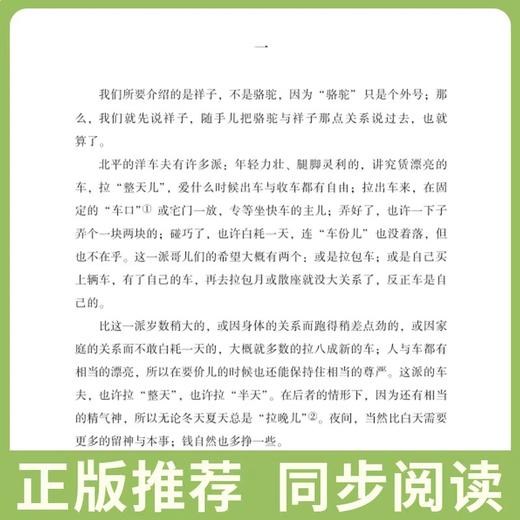 骆驼祥子原著正版老舍七年级必读和海底两万里凡尔纳七年级下册经典名著初中生课外书初一语文推荐阅读完整版非人民教育文学出版社 商品图1