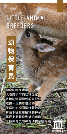 【智行研学】九月开学季活动——动物保育员等