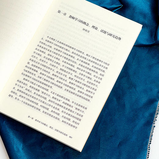 教师学习与专业发展 历史回溯与未来展望 大夏书系 教师学习 论文集 商品图7