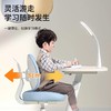 赠桌面台灯！【大满贯 ·⁨ 儿童学习桌椅一体套装】一块地砖的面积小到离谱，五脏俱全 商品缩略图0