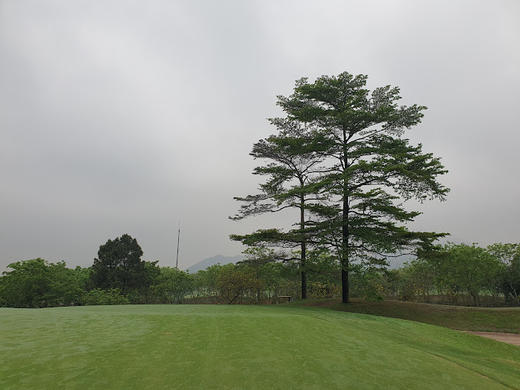 越南河内高尔夫俱乐部 Hanoi Golf Club  | 河内高尔夫球场 | 越南高尔夫球场俱乐部 商品图5