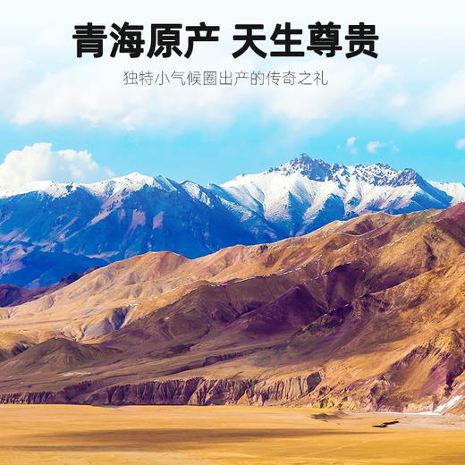 杞里香青海黑枸杞120克（8g*15罐） 商品图5