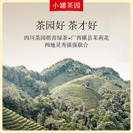 小罐茶园 茉莉花茶  金标单罐装 100g  5A中国茶  【现货】 商品图2